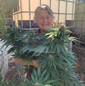 Meet your Posher, Sandra